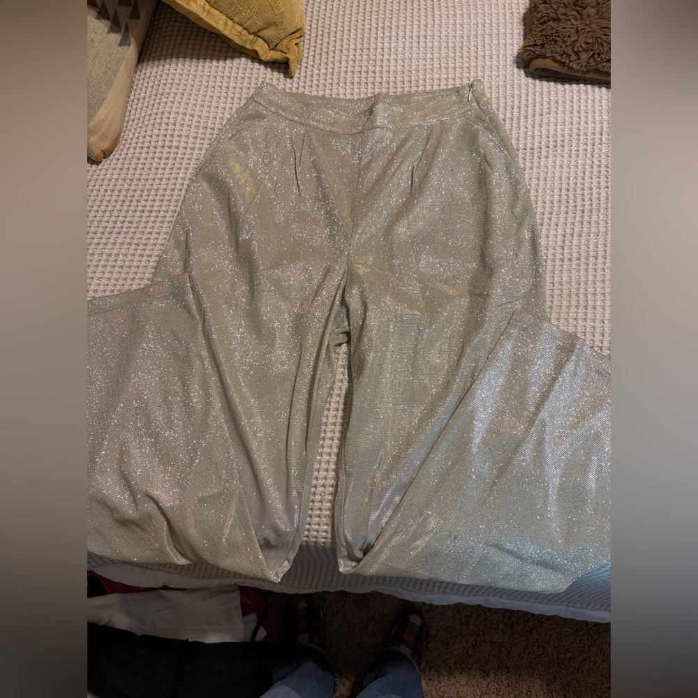 Women’s sparkly pants. Has a zipper on the hip